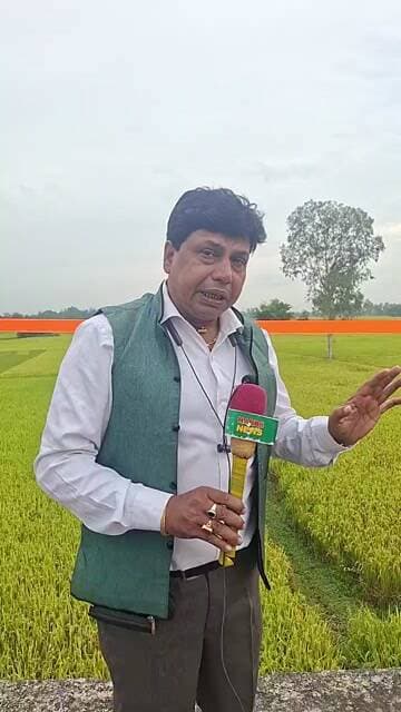 রায়গঞ্জের পানিশালা দ্বীপ নগরে এমস
#live #harrsnews #aiimsraiganj