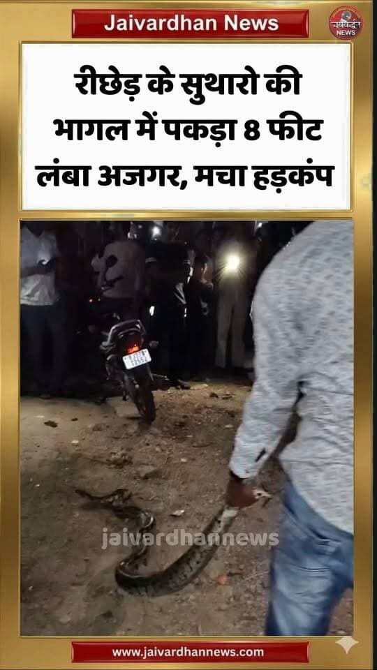 रीछेड़ के सुथारो की भागल में पकड़ा 8 फीट लंबा अजगर, मचा हड़कंप #rajsamandnews
राजसमंद जिले में चारभुजा के पास रीछेड़ गांव में 8 फीट लंबा अजगर आने से लोगों में हड़कंप मच गई। इस पर दीपकसिंह खरवड़, कुनालसिंह व हिरासिंह ने सूझबूझ दिखाते हुए अजगर का सुरक्षित रेस्क्यू किया और उसे जंगल में छोड़ दिया। तब लोगों ने राहत की सांस ली।
CharbhujaRiched
IndianRockPython
PythonRescue
AjgarRescue
Rajsamandnews