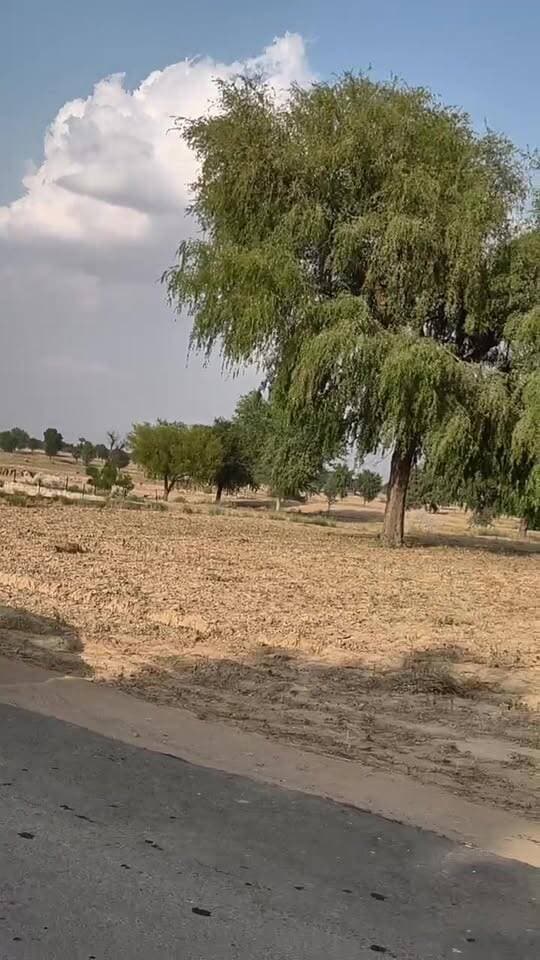 कीकरली ग्राम पंचायत से लाइव