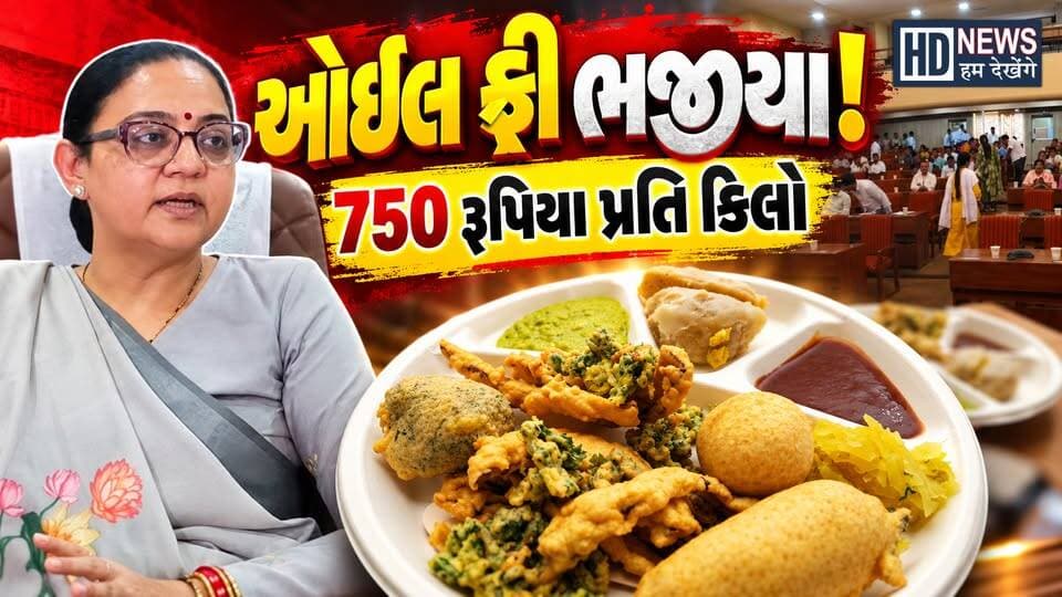 સુરત મનપાની સભામાં નાસ્તા માટે મંગાવેલા ભજીયાને લઈને વિવાદ || મેયરે કહ્યું ઓઈલ ફ્રી ભજીયા મંગાવ્યા હતા
#suratnews #smccontroversy #oilfreebhajiya #bhajiyabill #humdekhengenews