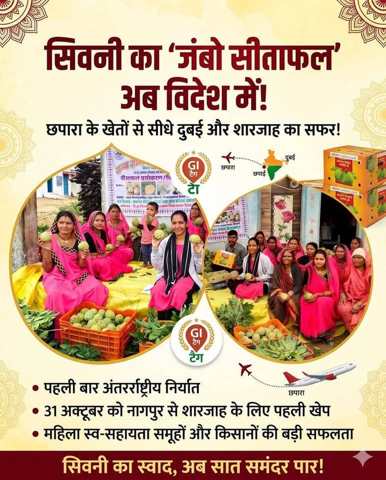 छपारा के खेतों से दुबई तक... सिवनी के सीताफल की अब होगी अंतर्राष्ट्रीय पहचान!
मध्य प्रदेश के सिवनी जिले के लिए यह गर्व का क्षण है। छपारा ब्लॉक के खेरमाटा कोल और भूत बनानी गांव में उत्पादित होने वाला मशहूर 'जंबो सीताफल' अब पहली बार विदेश निर्यात होने जा रहा है।
सीधे गांव से पैक होकर यह खास कंसाइनमेंट नागपुर के रास्ते शारजाह और दुबई पहुंचेगा। इस पूरी मुहिम में स्थानीय महिला स्व-सहायता समूहों की भागीदारी ने किसानों की मेहनत को अंतरराष्ट्रीय बाजार से जोड़कर एक नई मिसाल पेश की है।
* 📍 कंसाइनमेंट रूट: छपारा ➡️ नागपुर ➡️ शारजाह ➡️ दुबई
* 👩🌾 भागीदारी: महिला स्व-सहायता समूह एवं स्थानीय किसान
* 🍈 विशेषता: उच्च गुणवत्ता, बड़ा आकार एवं बेमिसाल स्वाद
#Seoni #MadhyaPradesh #CustardApple #AgriExport #Dubai #Sharjah #WomenEmpowerment #FarmersPride #LocalToGlobal #VocalForLocal #Chhapara #MPAgriculture Rajneesh Harvansh Singh Dinesh Rai Munmun
HK News Collector Office Seoni Adv Nitin Daheriya CM Madhya Pradesh Hashim Khan प्रदेश की न्यूज़