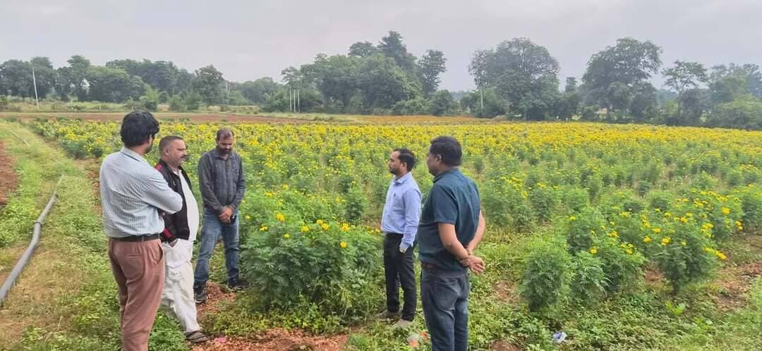 मुख्यमंत्री जनविश्वास अभियान के अंतर्गत कलेक्टर एवं जिला मजिस्ट्रेट श्री Arpit Verma IAS के निर्देशानुसार आज उप संचालक कृषि श्री मुनेश कुमार शाक्य ने विकासखंड पिछोर के कृषकों के खेतों एवं कृषि गतिविधियों का निरीक्षण किया।
निरीक्षण के दौरान ग्राम भौंती में कृषक श्री रामगोपाल गुप्ता के खेत पर पहुंचकर अमरूद, आंवला एवं अन्य उद्यानिकी फसलों का उत्पादन जैविक तरीके तथा वर्मीकम्पोस्ट का अवलोकन किया। ग्राम वाचरौन में कृषक श्री राजीव पाठक के फार्म का निरीक्षण किया गया, जहां उनके द्वारा की जा रही फूलों की खेती एवं प्राकृतिक पद्धति से चना फसल, कस्टम हायरिंग सेंटर देखा।
CM Madhya Pradesh
Department of Agriculture, Madhya Pradesh
#JanVishwasAbhiyan2026
#हर_शुक्रवार_जनता_के_नाम
#Shivpuri