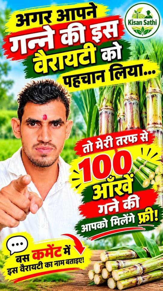 गन्ने की इस वैरायटी को पहचानो! सही जवाब देने वाले को मेरी तरफ से 100 आँख गन्ने FREE!
😱🌱KisanSathi #Ganna #SugarcaneFarming #GanneKiVariety #GannaKheti