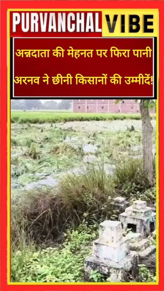 अन्नदाता की मेहनत पर फिरा पानी, अरनव तूफान ने छीनी किसानों की उम्मीदें!