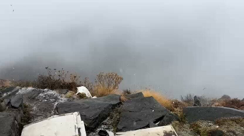 Breaking: हेलीकॉप्टर क्रैश की सूचना, 6 लोगों की खोज बीन में जुटी टीम
बद्रीनाथ से वापस फाटा की तरफ हेलीकॉप्टर जा रहा था
विष्णु प्रयाग क्षेत्र की घटना बताई जा रही है,
जोशीमठ के पास चाई गांव के पास क्रैश होने की सूचना
मेडिकल टीम मौके के लिए रवाना !!
