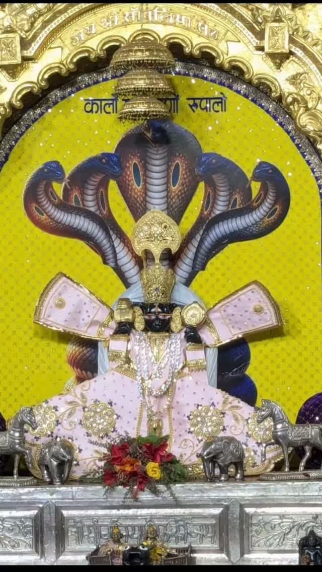 *जय श्री सांवरिया सेठ*
*मालिक म्हारो सांवरो*
*🙏जय हो सांवरियां सेठ जी 🙏*
*शुभ शनिवार प्रातःकाल के मनमोहक दर्शन*🩷🙏🏻🙇🏻♂️
*लो कीजिए दर्शन मेरे सांवरिया सेठ जी के*
*श्री साँवरिया सेठ की जय*