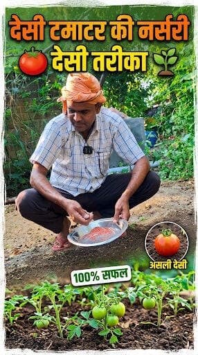 🍅🌱 देसी टमाटर की नर्सरी तैयार करने का देसी तरीका | खेत में टमाटर की पौध तैयार हो रही है 🌱🍅
#DesiTamatar #TomatoNursery #किसानी #कृषि #किसान