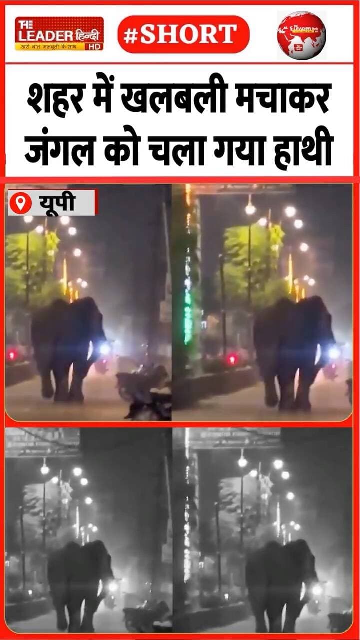 नज़र रख रही थी पुलिस, वन विभाग की टीम | 31 Oct 2026 | #bareilly #pilibhit #upnews #elephant #shorts