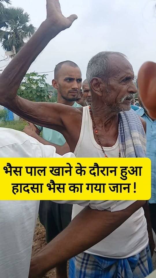 भैस पाल खाने के दौरान हुआ
हादसा भैस का गया जान ! #bdbiharjharkhand