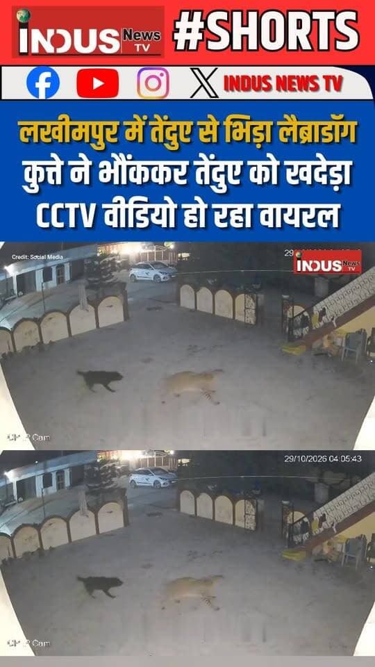 लखीमपुर में तेंदुए से भिड़ा लैब्राडॉग, कुत्ते ने भौंककर तेंदुए को खदेड़ा, CCTV वीडियो हो रहा वायरल
#lakhimpur #dog #fight #with #leopard #CCTVFootage #viral #LakhimpurKheri #NewsUpdate #viralpost #LeopardAttack #AnimalSafety #safetyawareness #viralreels #DogAttack #wildanimals #viralreelsシ #viralreelsfacebook #reelsviralシ #reelsviral #reelsvideo #reels #reelsfbシ #newsfeed #shorts #shortsvideos #newstock #DogVsLeopard #lakhimpurkhirinews #newstock #newseason #NewsAlert
