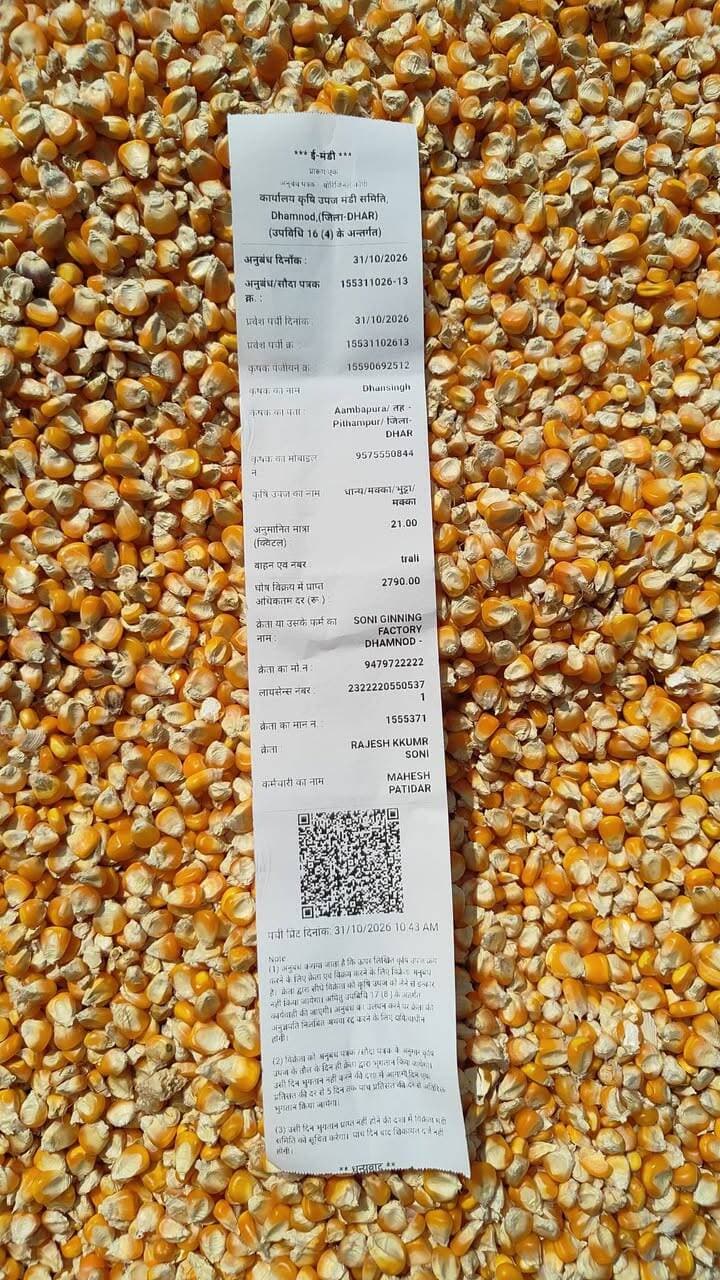 आज धामनोद मंडी में मक्का क्वालिटी अनुसार 2500 से लेकर 2808 तक बिकी...
Dhamnod Mandi Bhav - धामनोद मंडी भाव #MandiRates #dhamnodmandibhav #mandibhavtoday #mandibhavnews #MandiNews #makkakabhav #MakkaMandi #makkamandinews
