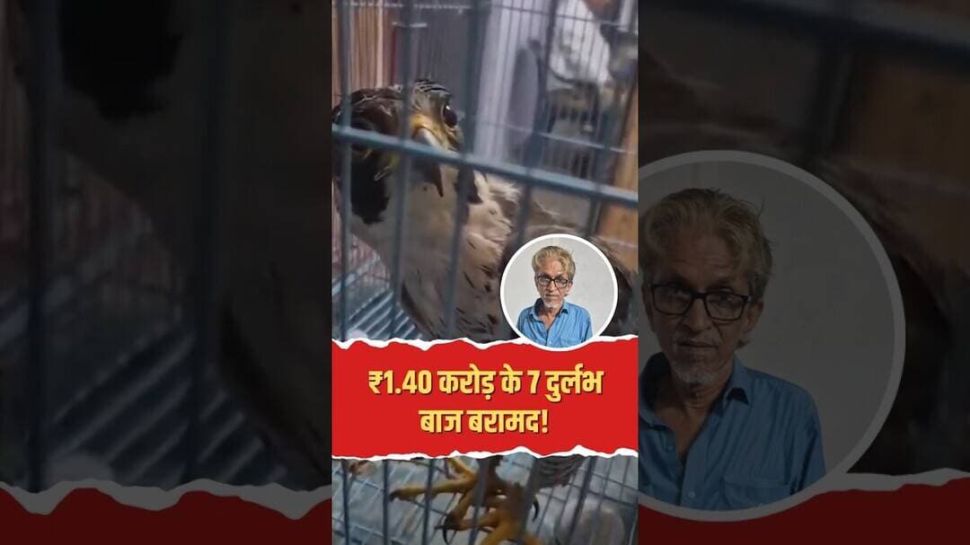 लखनऊ में अंतरराष्ट्रीय वन्यजीव तस्करी नेटवर्क का बड़ा पर्दाफाश: UP STF ने 7 अति दुर्लभ बाज किए बरामद