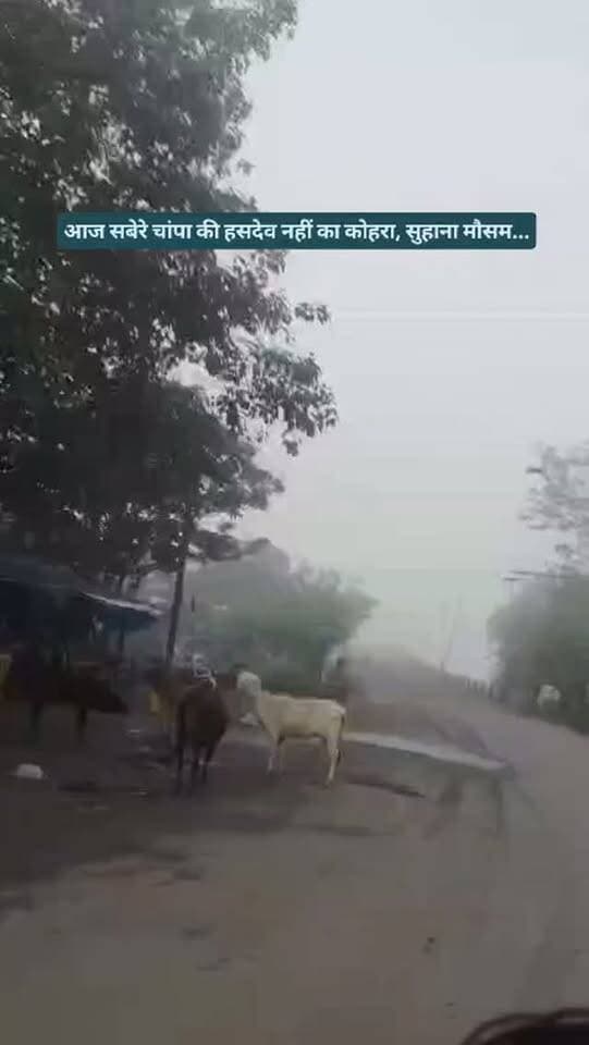 आज सबेरे चांपा की हसदेव नहीं का कोहरा, सुहाना मौसम...
#breakingnews #mousam #weathar