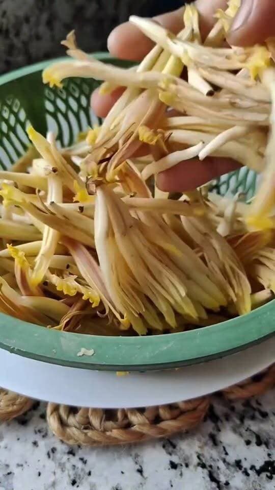 না দেখেই খুব বড়ো ভুল করে ফেলবে ।।।