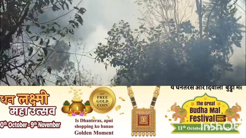 चुराह के नकरोड़ जंगल में लगी आग फायर ब्रिगेड की टीम ने आग पर काबू पाया।