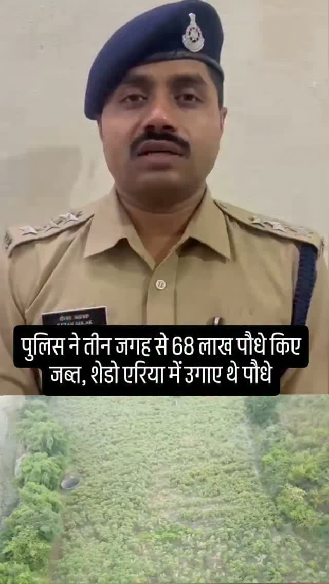 चैनपुर पुलिस ने 3 प्रकरण दर्ज कर किए लगभग 4.59 क्विंटल अवैध गांजे के पौधे जप्त, पुलिस अधीक्षक खरगोन रविन्द्र वर्मा के निर्देशन में राज्य स्तरीय एंटी नारकोटिक्स अभियान के तहत की गई कार्यवाही, चौकी हेलापडावा थाना चैनपुर क्षेत्र में पुलिस ने दी 3 अलग-अलग स्थानों पर गांजे के खेतों पर दबिश, शेडो एरिया (नो मोबाईल नेटवर्क ज़ोन) के ग्राम हरणकुण्डिया में 2 एवं हरणमाल में 1 प्रकरण दर्ज कर की कार्यवाही, आरोपियों के विरुद्ध NDPS के 03 पृथक-पृथक प्रकरण दर्ज #khargone_family #khargone