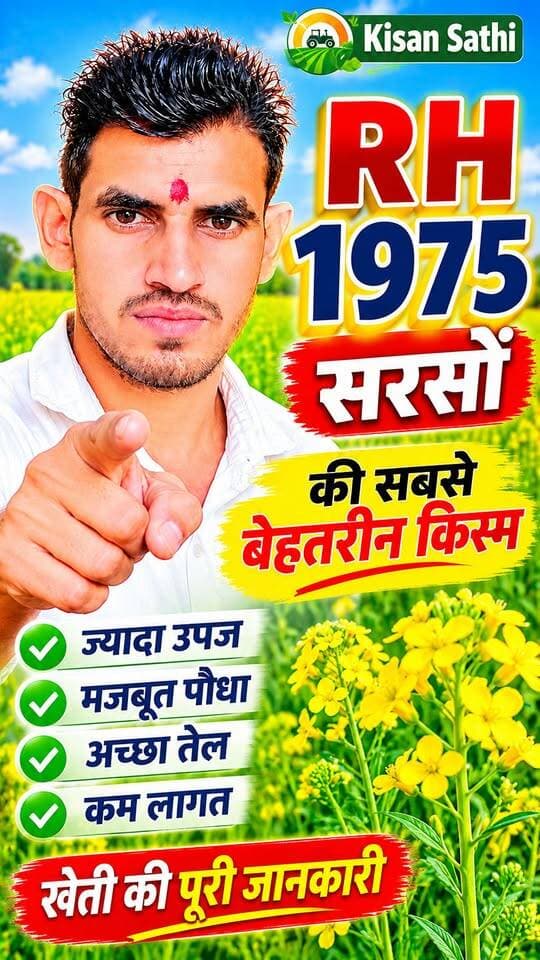 RH 1975 सरसों की सबसे बेहतरीन किस्म 🌱 | बंपर पैदावार के लिए ऐसे करें खेती | Kisan Sathi
Hashtags
#RH1975 #सरसोंकीखेती #MustardFarming #सरसोंकीउन्नतकिस्म #SarsonKiKheti #किसानभाई