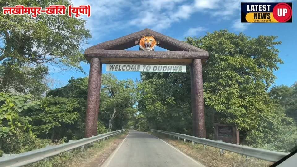 1 नवंबर से सैलानियों के लिए खुल रहा दुधवा
-वन विभाग की पूरी की तैयारियां।
-जंगल में मोबाइल ले जाने पर वन विभाग की पाबंदी।
-कल दुधवा में नहीं चलेगी जंगल सफारी, किशनपुर में वन्यजीवों के दीदार कर सकेंगे पर्यटक।
#Dudwatigerreserve
#UPNews
#LatestNews
#IndiaNews
#cmyogi_adityanath
#paliakalankheri
#lakhimpurkhirinews