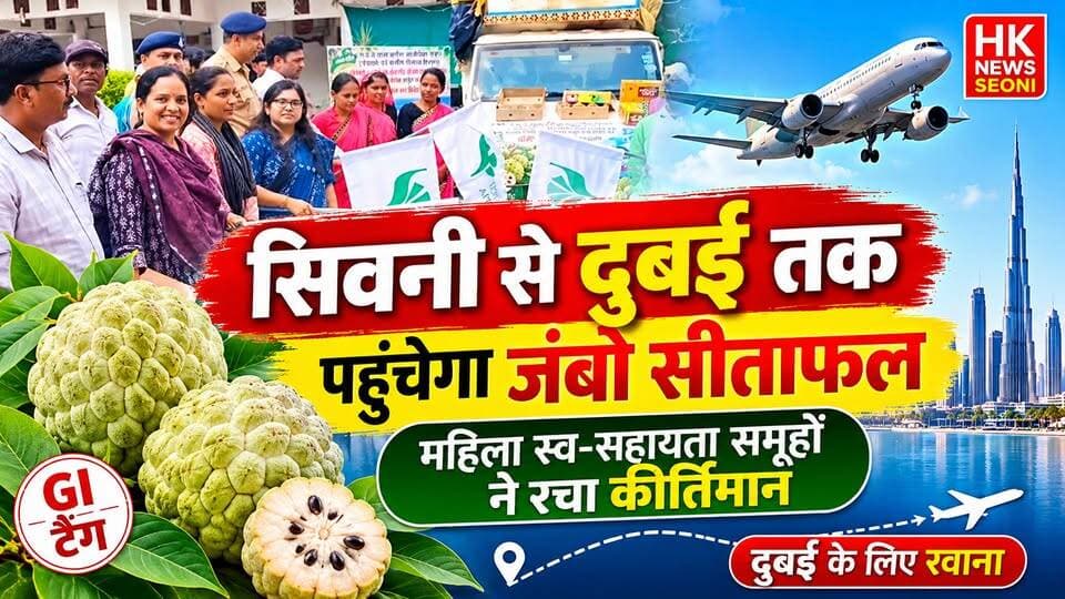 सिवनी से दुबई तक पहुंचेगा जंबो सीताफल 🍈 | महिला, स्व-सहायता समूहों ने रचा इतिहास | Seoni News
क्या सिवनी का जंबो सीताफल अब दुनिया में अपनी अलग पहचान बनाएगा? देखिए HK News Seoni की यह खास रिपोर्ट।
HK News Seoni | सिवनी की निर्भीक आवाज
#Seoni #JumboSitaphal #DubaiExport #SeoniNews #Chhapara #GIProduct #WomenEmpowerment #SelfHelpGroup #MadhyaPradeshNews #HKNewsSeoni