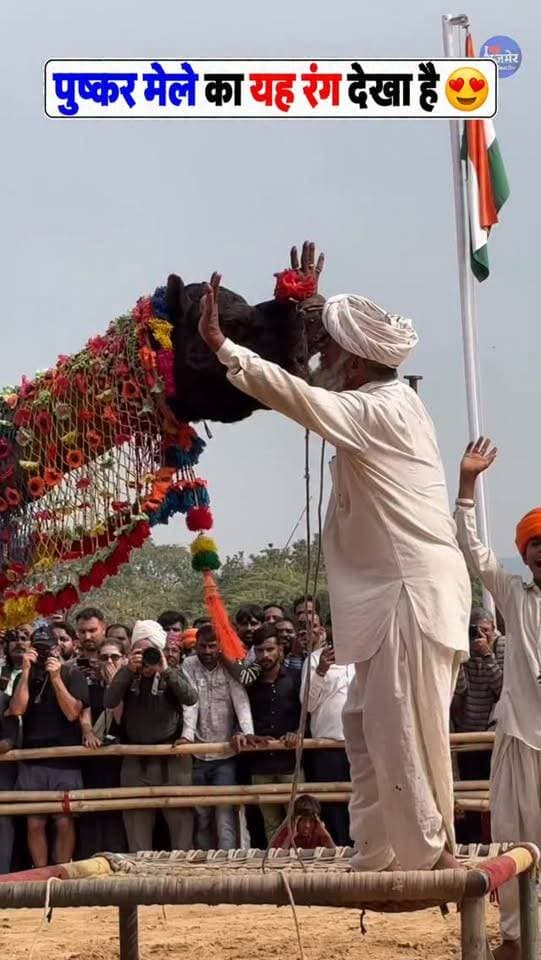 🐪 पुष्कर मेले में ऊंटों का अनोखा डांस! Camel Dance Competition देखकर रह जाएंगे हैरान 😍🔥 pushkar mela - 10 - 26 November Comming Soon
* Pushkar Camel Fair 2026
* Pushkar Camel Dance Competition
* Camel Dance Rajasthan
* Pushkar Mela Rajasthan
* Pushkar Mela Viral Video
Pushkar, Pushkar Mela , Pushkar Fair , Mela , Animal Fair,