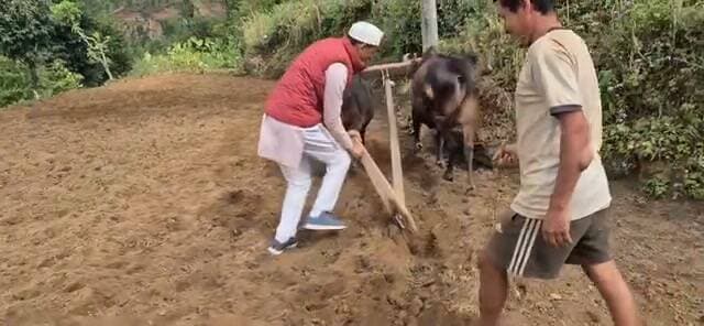 कांग्रेस नेता एवम राज्य आंदोलनकारी हरीश पनेरू गाँव की मिट्टी से जुड़े हुए हैँ गाँव मे गेंहू की बुवाई में मदद करते हुए। #किसानपुत्र #HarishPaneru #okhalkandaa #farminglife