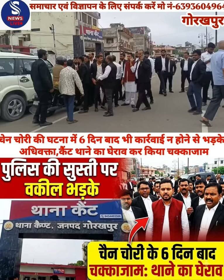 गोरखपुर ब्रेकिंग न्यूज........?
चेन चोरी की घटना में 6 दिन बाद भी कार्रवाई न होने से भड़के अधिवक्ता,कैंट थाने का घेराव कर किया चक्काजाम
सीओ कैंट के आश्वासन के बाद मुकदमा दर्ज करवाई का दिया भरोसा
#adhivakta #cantThana
#Gorakhpurnews
#SNewsliveGorakhpur