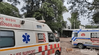 સોનગઢ: સોનગઢ હાઇવે પર દુર્ગા આર્કેડ ખાતે સ્વીફ્ટ ગાડીએ ટક્કર મારતા એક મોત