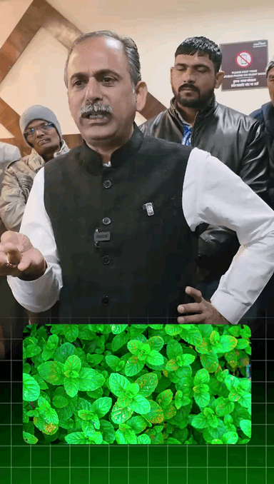 Green Juice For Blood Pressure Paitent
93561-93565 #acharyamanishji #hiims