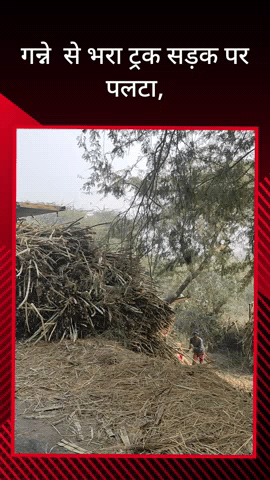 सरधना: गन्ने से भरा ओवरलोड ट्रक अनियंत्रित होकर सड़क किनारे पलटा, चालक ने कूदकर बचाई जान, हिंडन नदी पुल पर हुई घटना