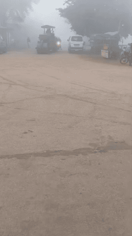 वैर: कस्बा वैर सहित ग्रामीण इलाके में दूसरे दिन भी छाया कोहरा, वाहनों को जलानी पड़ी हैड लाइट