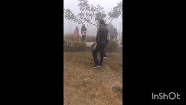 कुम्हेर: राज्य सरकार के 2 वर्ष पूर्ण होने पर नपा प्रशासन और भाजपा कार्यकर्ताओं ने चलाया स्वच्छता अभियान