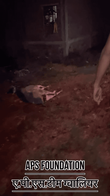 2 दिन से डाली रही पानी मे हमारे भी बहुत ज्यादा चोटे आई पर हमने हार नही मानी..!
Respect Girls help poor
#apsgurjar #help #viral #gwalior