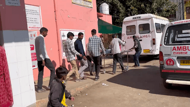 बकानी: मोया खेड़ी गाँव निवासी 80 साल के बुजुर्ग पर मधुमक्खियों ने किया हमला, जिला चिकित्सालय रेफर