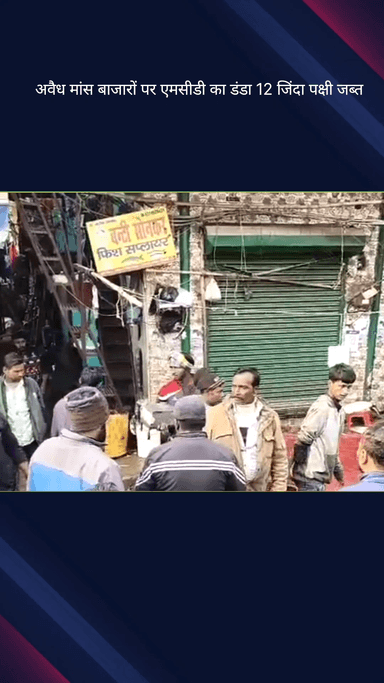 सिविल लाइन्स: अवैध मांस बाजारों पर एमसीडी का डंडा, 12 जीवित पक्षी जब्त