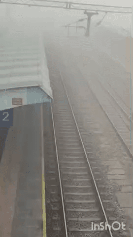 बयाना: बयाना में घने कोहरे के कारण दिन में लाइट जलाकर चले वाहन, गेहूं की फसल को मिला फायदा