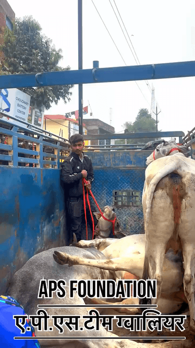 गौ माता के साथ ऐसा अत्याचार नहीं सहूंगा 😡..!
Respect Girls help poor help animals
#apsgurjar #viral #support #gwalior