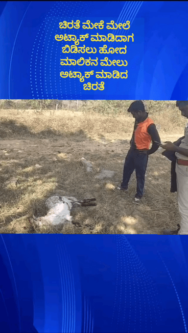 ನೆಲಮಂಗಲ: ಹುರಿಯಪ್ಪನಪಾಳ್ಯದಲ್ಲಿ ಮೇಕೆ ಮೇಲೆ ಚಿರತೆ ದಾಳಿ ಬಿಡಿಸಲು ಹೋದ ಮಾಲಿಕನ ಮೇಲೂ ದಾಳಿಗೆ ಯತ್ನಿಸಿದ ಚಿರತೆ ಆತಂಕದಲ್ಲಿ ಗ್ರಾಮಸ್ಥರು
