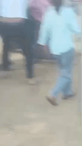 अलवर: बुर्ज में खेत के रास्ते के विवाद में दो पक्षों के बीच लाठी-डंडे चले, वीडियो आया सामने, कई लोग हुए घायल