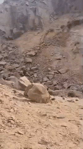 गोविंदगढ़: नौगांवा क्षेत्र में प्रशासन की सख्ती रंग लाई, अवैध पत्थरों से भरा ट्रैक्टर जब्त, चालक गिरफ्तार, संयुक्त कार्रवाई