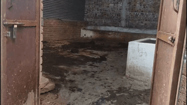 बकानी: बकानी के खेड़ा गाँव में मकान के पीछे के गेट का ताला तोड़कर 5 भैंसों की हुई चोरी