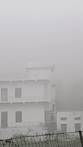 बानसूर: बानसूर में कड़ाके की ठंड, दिनभर रहा घना कोहरा