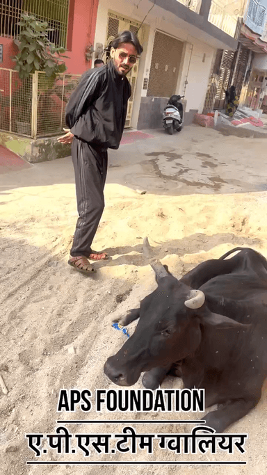 ये दो गाये बहुत ज्यादा बीमार थी..!
Respect Girls help poor help animals
#apsgurjar #help #gwalior