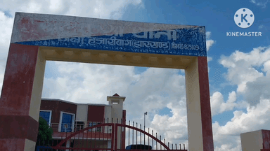 चलकुशा: चलकुसा में सवारी गाड़ी की चपेट में आने से 8 वर्षीय बच्चे की मौत