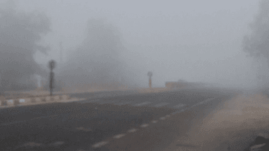 વડાલી: ઈડર-ખેડબ્રહ્મા સ્ટેટ હાઇવે રોડ પર છવાયું ધુમ્મસ, વિઝિબિલિટી ઘટી જતા વાહન ચાલકોને પરેશાની