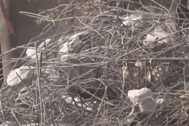 दरियागंज: राजधानी दिल्ली के तुर्कमान गेट इलाके में मलबा हटाने का काम जारी