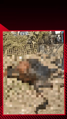 सरधना: नगर में जहर खुरानी गिरोह सक्रिय, मंडी समिति परिसर में गोवंश की संदिग्ध मौत से हिंदू संगठन से जुड़े लोगों में फैला रोष