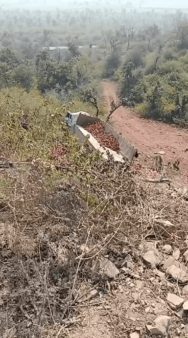 सिंगोली कस्बे के पास तिलस्वां घाट में फिर पलटा ट्रक बिना संकेतक आए दिन होती है दुर्घटनाएं
