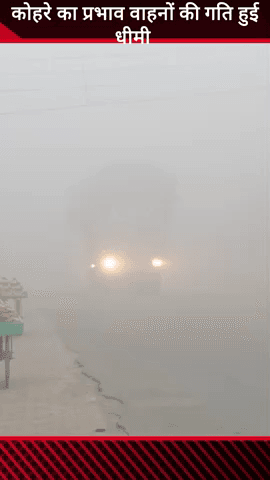 मवाना: अचानक कोहरे के प्रभाव से वाहनों की गति धीमी, आवागमन प्रभावित, दिन में जलानी पड़ी वाहनों की लाइट