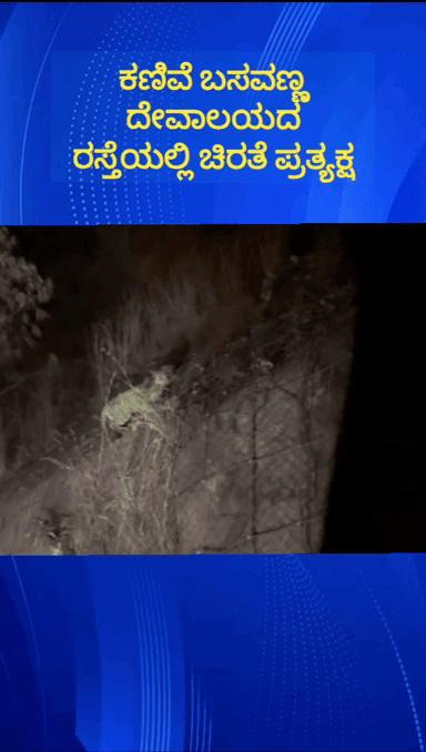 ದೊಡ್ಡಬಳ್ಳಾಪುರ: ಹೆಗಡಿಹಳ್ಳಿ ಸಮೀಪದ ಕಣಿವೆ ಬಸವಣ್ಣ ದೇವಾಲಯದ ರಸ್ತೆಯಲ್ಲಿ ಚಿರತೆ ಪ್ರತ್ಯಕ್ಷ