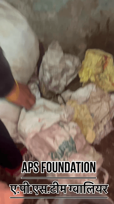 छोटू पाल उर्फ अनिल पाल ने जो किया गौ माता के साथ आछा किया हिन्दू ही गौ माता का दुश्मन बन रहे है..!
Respect Girls help poor help animals
#apsgurjar